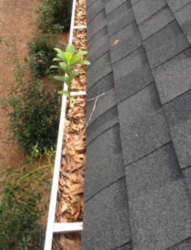 Dirty gutter before professional gutter cleaning
