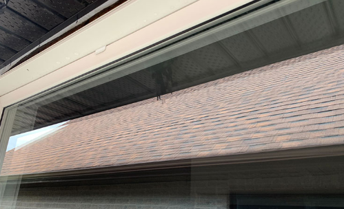 After window cleaning service